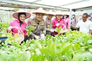 Polda Riau Panen Sayur Hidroponik dan Tebar Benih Ikan